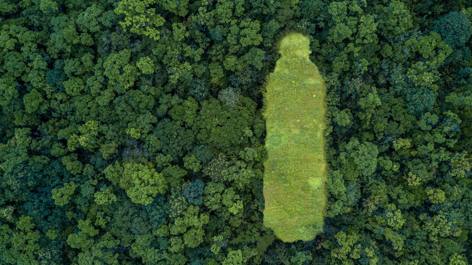 Are You a Grassroots Environmental Group?